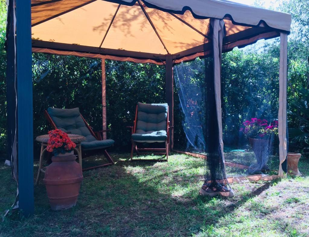 Apartament Cedro Del Libano Castiglioncello Zewnętrze zdjęcie