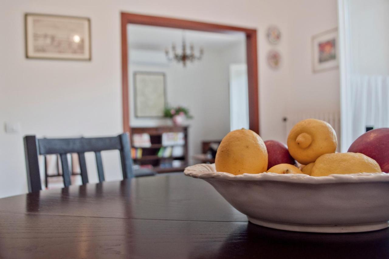 Apartament Cedro Del Libano Castiglioncello Zewnętrze zdjęcie