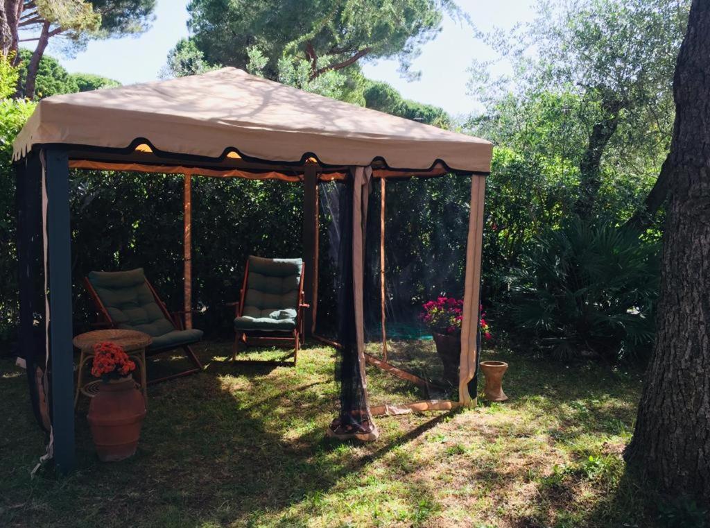 Apartament Cedro Del Libano Castiglioncello Zewnętrze zdjęcie